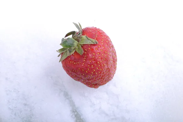 Cerrar la fresa en un hielo frío — Foto de Stock