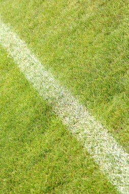 Yeşil futbol sahasında beyaz şerit.