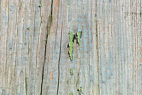 Träplatta för bakgrund, gamla trä textur — Stockfoto