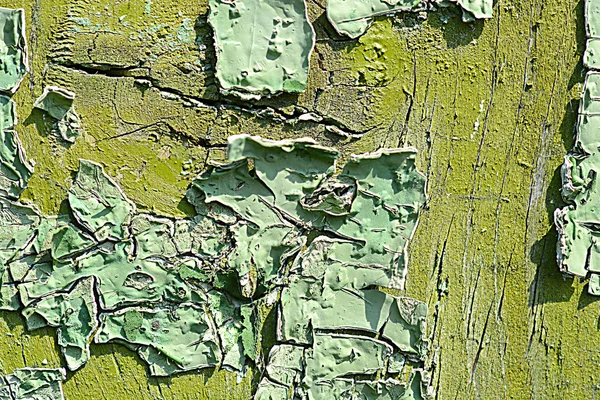 Old green colored wooden plank surface — Stock Photo, Image