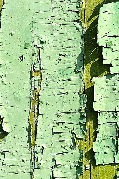 古い荒木樹皮の背景のテクスチャ — ストック写真