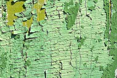 eski yeşil renkli ahşap tahta yüzey