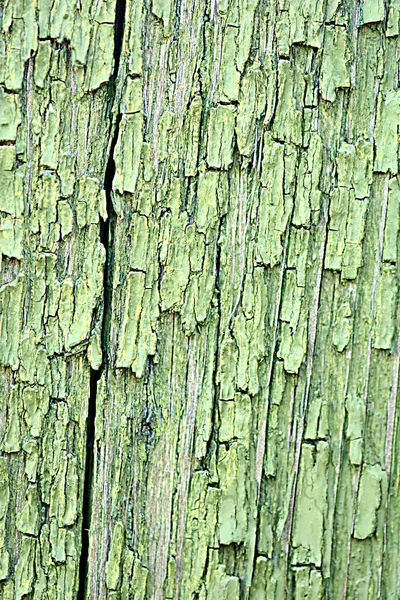Dunkelgrünes Holz. Natürliche Textur Hintergrund — Stockfoto