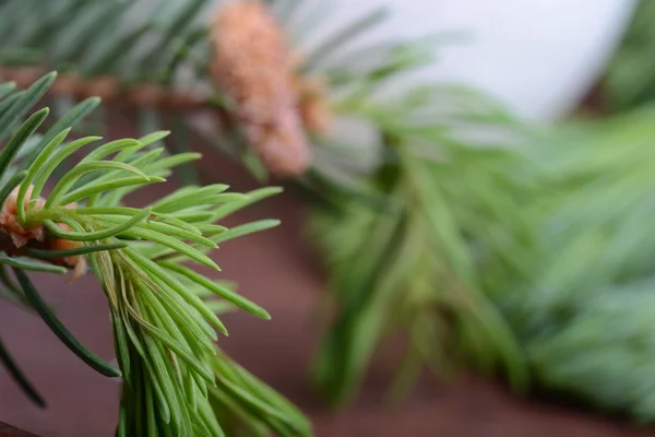 Fir-nål grene sammensætning som baggrund tekstur - Stock-foto