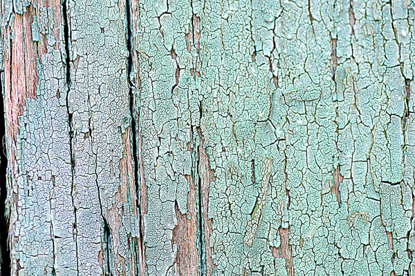 Wood plank texture, background — Stock Photo, Image