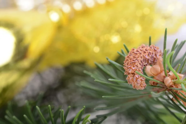 Image of Christmas tree branch with golden material, festive border, New Year greeting card, magic night, glowing backdrop, xmas decoration, holiday ornament — Stock Photo, Image