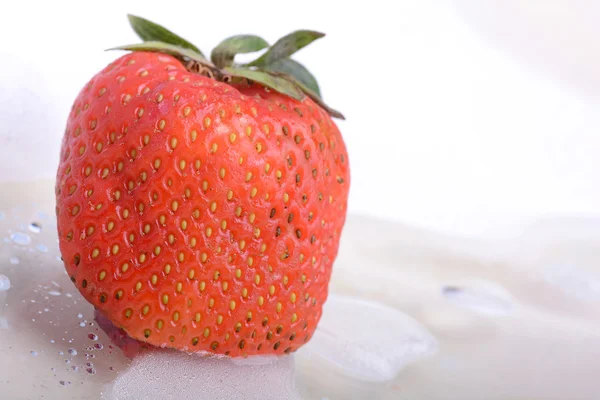 Close up strawberry in a cold ice — Stock Photo, Image