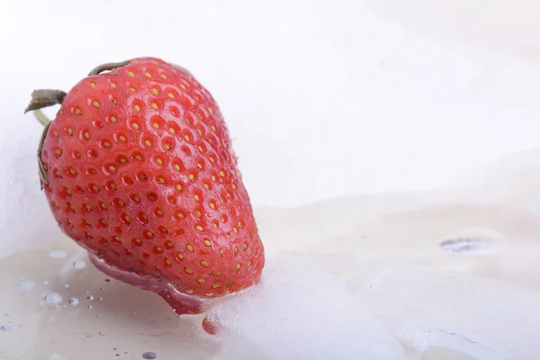 Nahaufnahme Erdbeere, Nahrungsmittelkonzept — Stockfoto