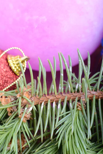 Ramo de árvore de Natal com bola — Fotografia de Stock