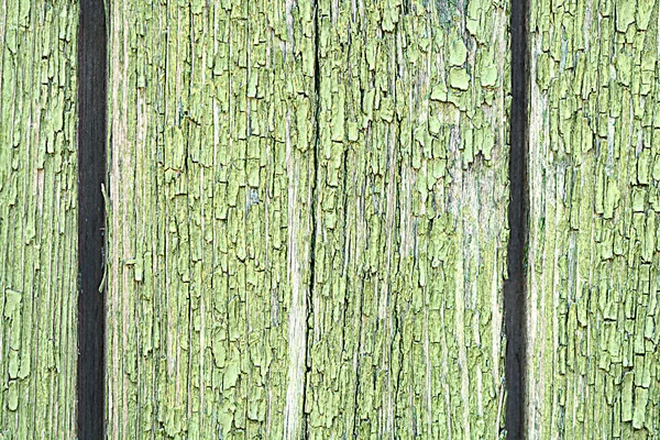 Madeira verde escura. Textura natural fundo — Fotografia de Stock