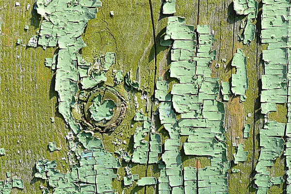 Gammal trä bark struktur med grön mossa — Stockfoto