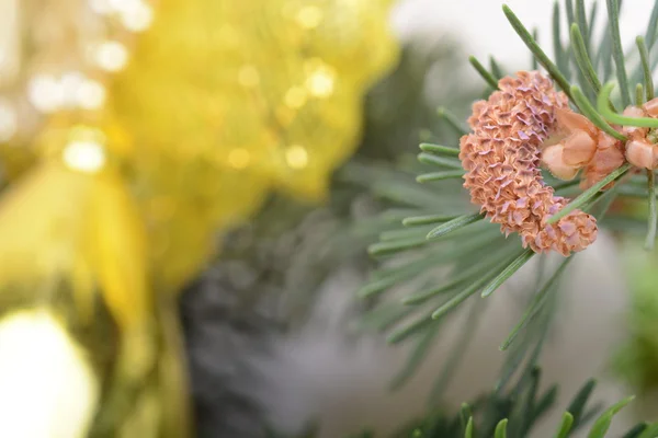 Billede af juletræ gren med gyldne materiale, festlig grænse, nytår lykønskningskort, magiske nat, glødende kulisse, xmas dekoration, ferie ornament - Stock-foto