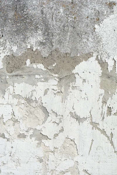 Textura de pared blanca cepillada - fondo sucio —  Fotos de Stock