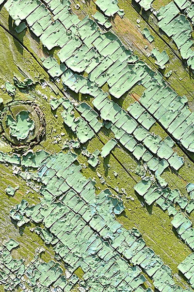 Old wood tree bark texture with green moss — Stock Photo, Image