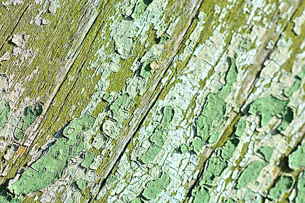 Gamla gröna knäckt träd bark textur — Stockfoto