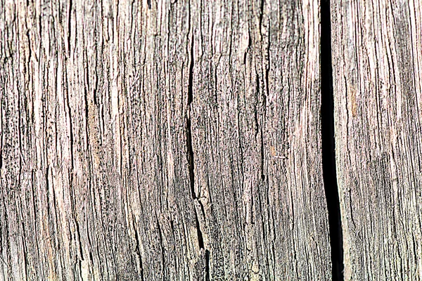 Holzplanke Textur, Hintergrund — Stockfoto