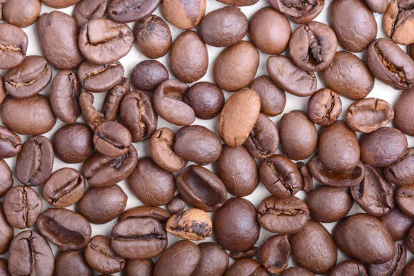 Brown coffee beans,  close-up of coffee beans for background and texture — Stock Photo, Image