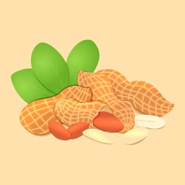 Векторная иллюстрация арахисового ореха. Горстка орехов в раковине и обстрелах, листья. Вкусное изображение на бежевом фоне орехов для печати на упаковке, рекламы здоровой пищи — стоковый вектор