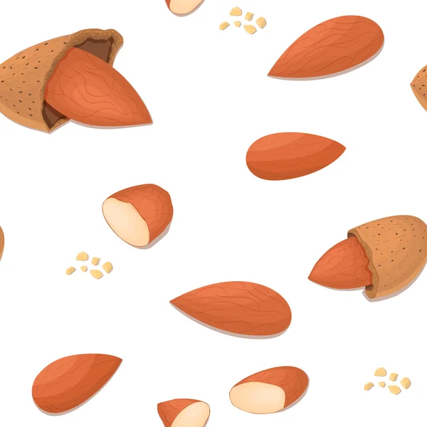 Vector sin costura patrón almendra tuerca. Ilustración de nueces peladas y en cáscara aislada sobre fondo blanco se puede utilizar como elemento de diseño de envases, impresión de folletos sobre dieta saludable y vegetariana — Archivo Imágenes Vectoriales