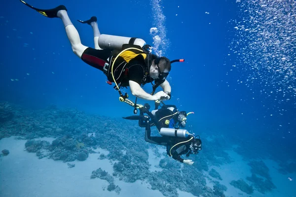 Divers — Stock Photo, Image