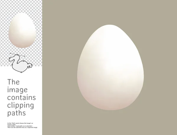 Egg, Dodo collectie — Stockfoto