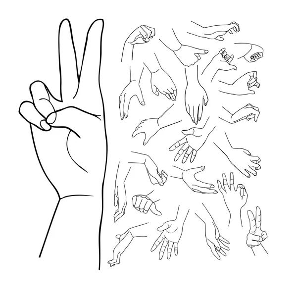 Руки Векторний набір частина 1 — стоковий вектор