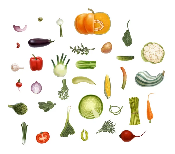 Vegetables sesign set — Stock Vector