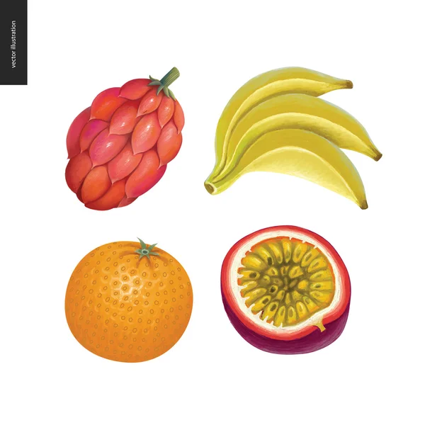 Fruit vector stickers — Stock Vector