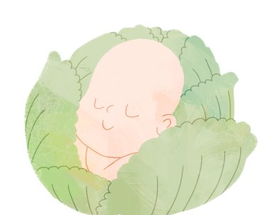 Baby in the cabbage clipart