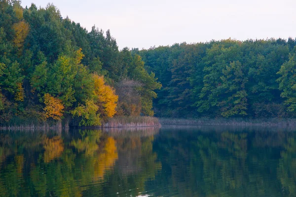 Вид на озеро осенью — стоковое фото