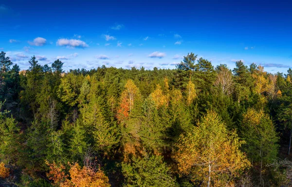 高さから雲を背景にした秋の森 — ストック写真