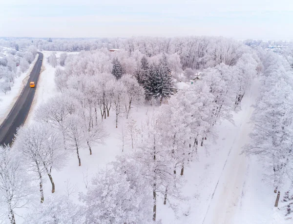 Дорога Дерева Взимку Селі — стокове фото