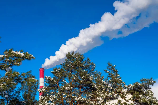 Industriële Schoorsteen Met Rook Achtergrond Van Een Bos Winter — Stockfoto