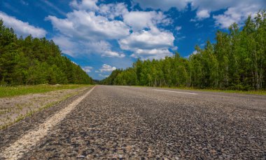 Ormanda yol, mavi gökyüzüne karşı..