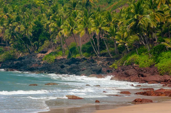 Palmeiras Mar Goa Índia — Fotografia de Stock