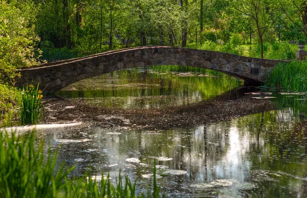 Uma Ponte Velha Lago Verão Radomyshl Ucrânia — Fotografia de Stock