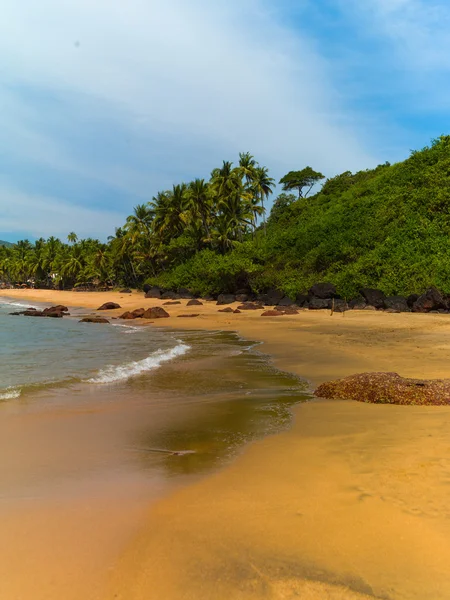 Praia com palmeiras — Fotografia de Stock