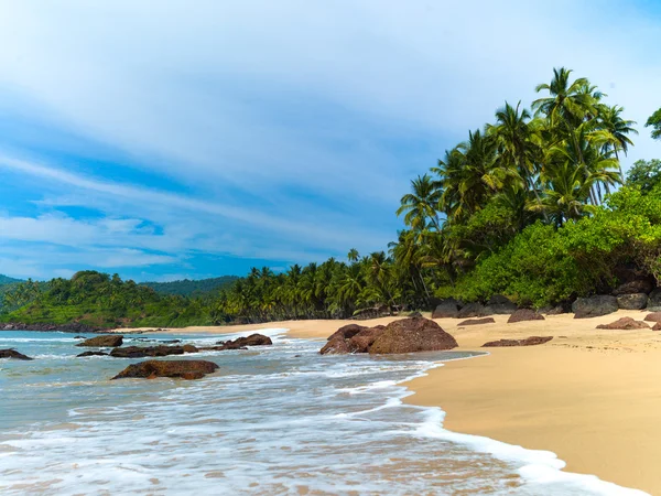 Praia com palmeiras Imagens De Bancos De Imagens