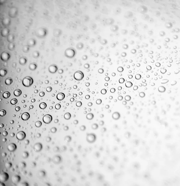 Drops on the glass — Stock Photo, Image