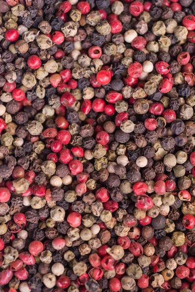 En blandning av paprika — Stockfoto