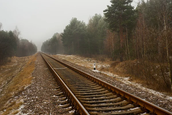 Järnvägen i skogen — Stockfoto