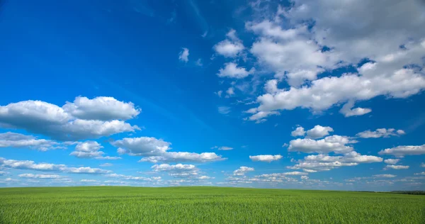 Cielo y fiel — Foto de Stock