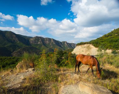Atları dağlar içinde belgili tanımlık geçmiş. Georgi