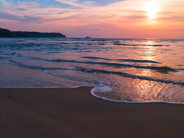 Strand met palmbomen — Stockfoto