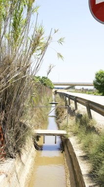 Sulama kanalı Delta del Llobregat