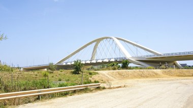 modern bridge over the Llobregat River clipart