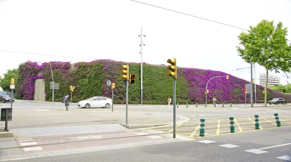 Muur met wijnstokken in de Diagonal Mar in Barcelona — Stockfoto