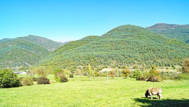 Liguerre del Cinca, 13: 45; 21 Mayıs 2017; Comarca del Sobrarbe, Huesca, Aragon, İspanya, Avrupa