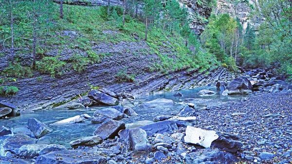 Río Ara Provincia Huesca Mayo 2017 Aragón España Europa — Foto de Stock