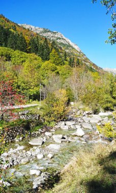 Lleida 'daki Boh Vadisi' ndeki Noguera Tor Nehri, 16 Haziran 2015; Katalunya, İspanya, Avrupa